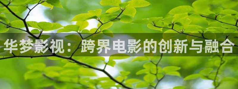 老湿影院免费在线播放
