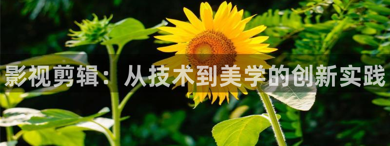 老湿影院x看一分钟