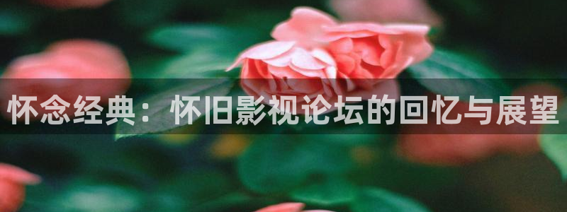 老湿影院免费x