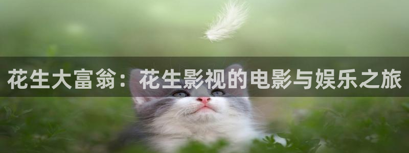 老湿机影院免费版
