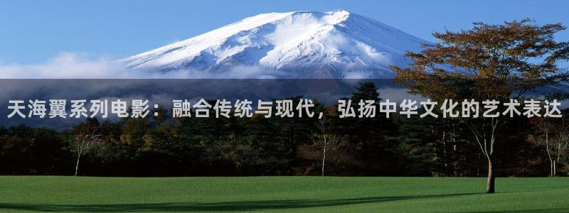 老湿影院一分钟体验：天海翼系列电影：融合传统与现代，弘扬中华文化的艺术表达