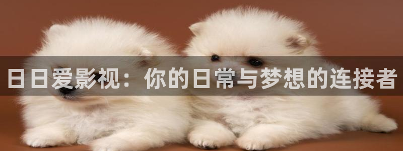 老湿影院x一分钟