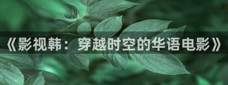 老湿机一分钟影院：《影视韩：穿越时空的华语电影》